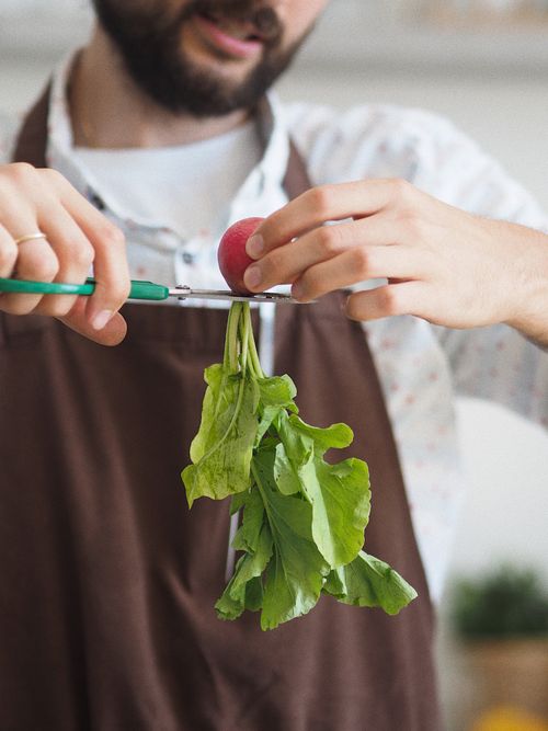 Free Close-up of a man cutting green radish leaves with scissors indoors. Fresh and organic. Stock Photo