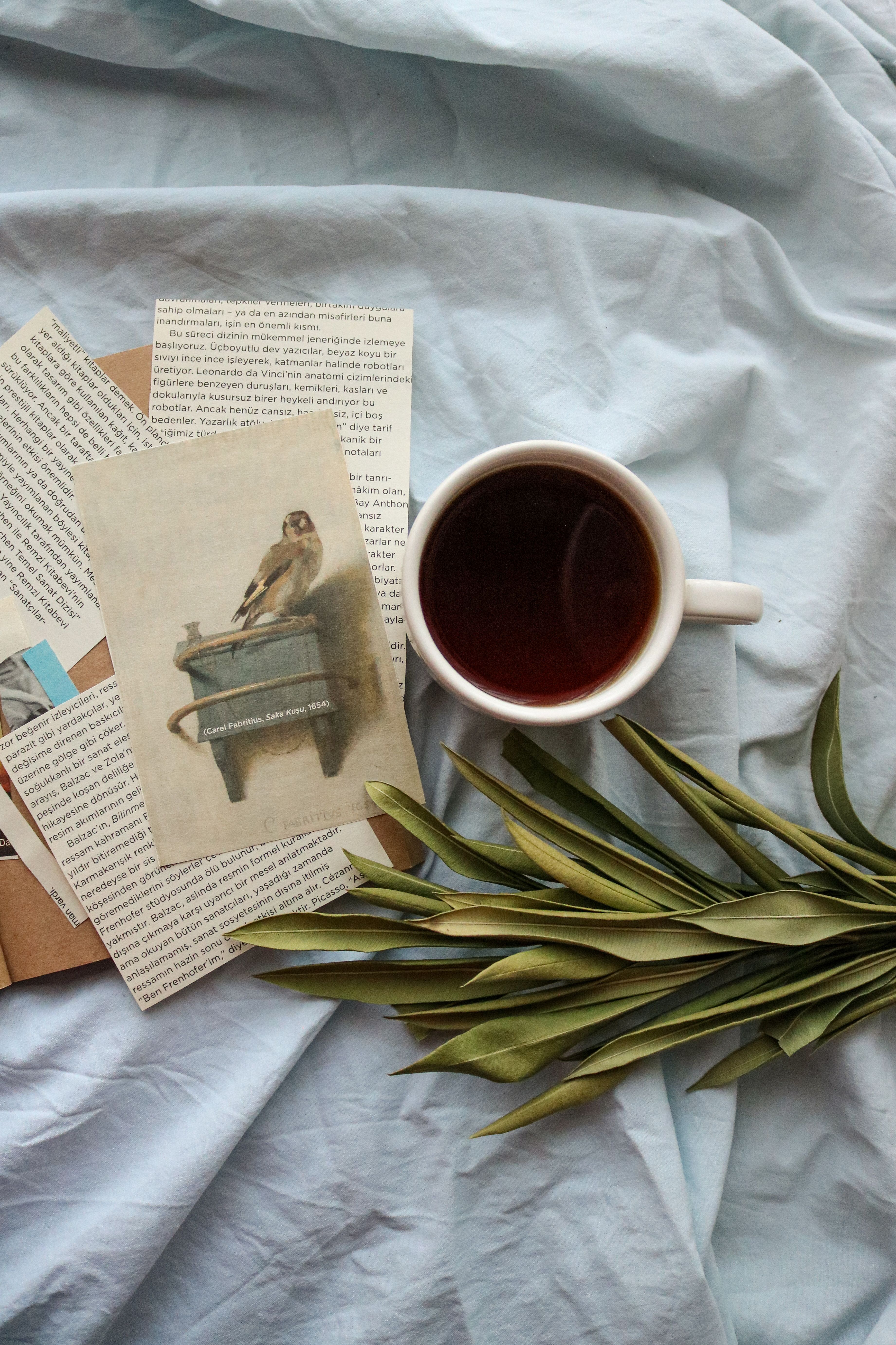 Hand drawn heart in book margins