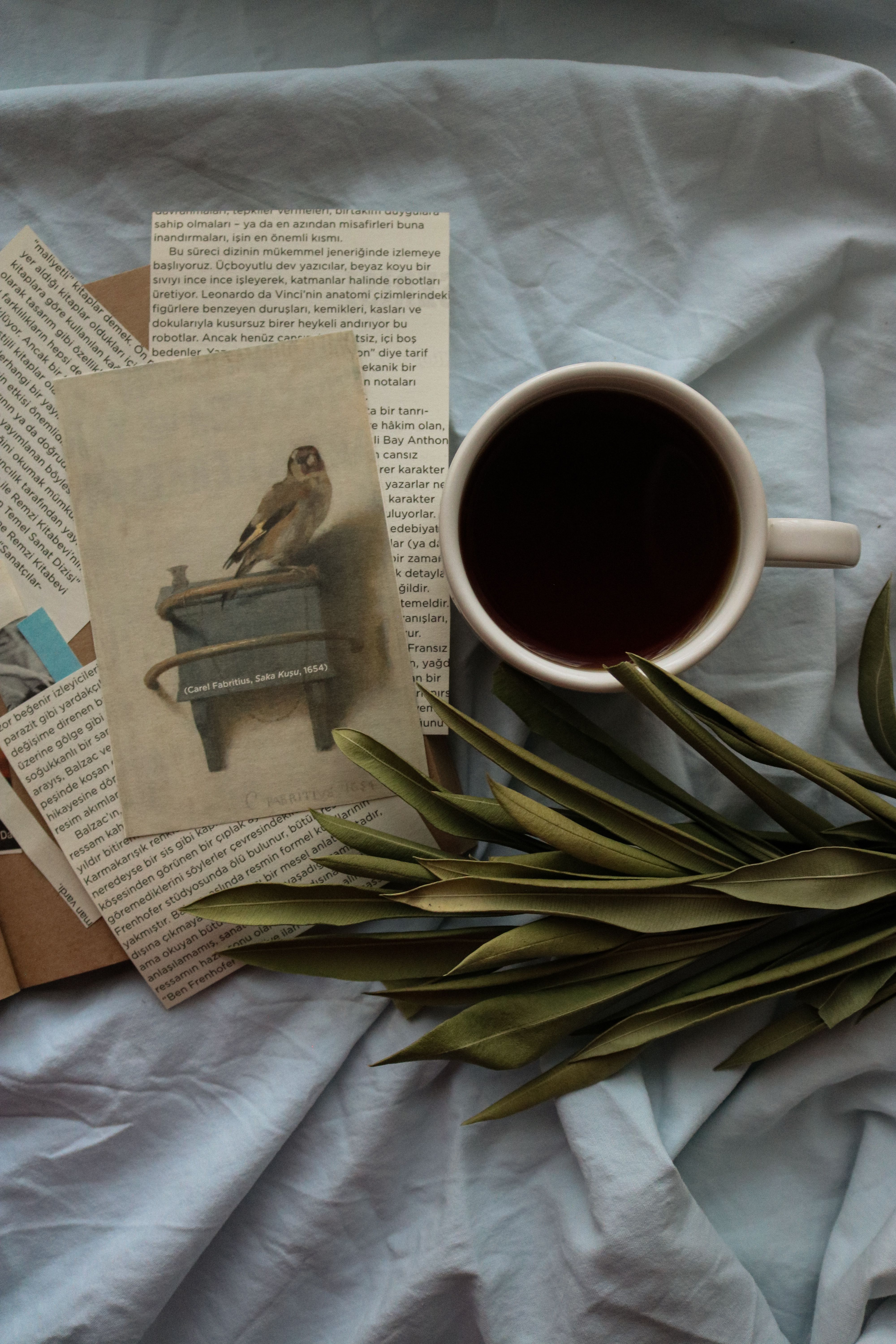 A serene flat lay featuring a cup of coffee, vintage pages, and green leaves on soft fabric.