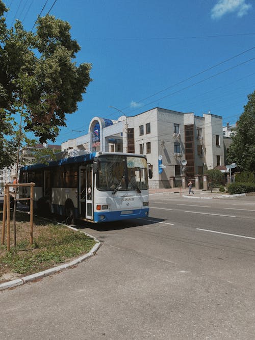 Fotos de stock gratuitas de aparcado, árboles verdes, autobús