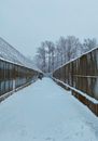 Brown Wooden Fence Covered With Snow