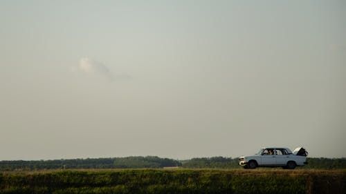 A White Old Car on a Field