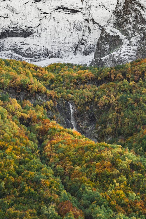 An Aerial Photography of a Snow Covered Mountain Near the Green Trees