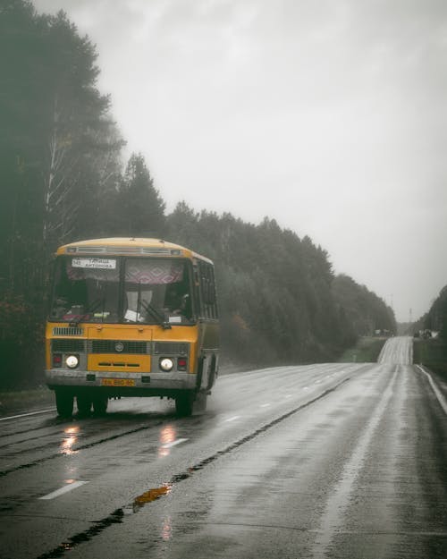 Gratis stockfoto met autobus, automobiel, na de regen Stockfoto