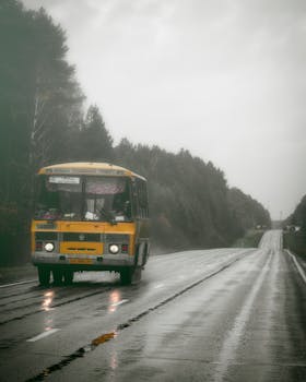 Lonely yellow bus travels down a wet forest road on a gloomy day, capturing the solitude after the rain.