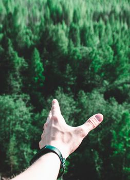 Hand reaching towards dense green forest with wristwatch, highlighting nature connection.