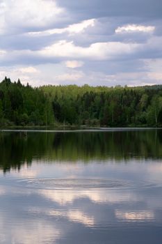 Serene lake reflecting lush forest under a cloudy sky, captured at dusk creating a peaceful scene.