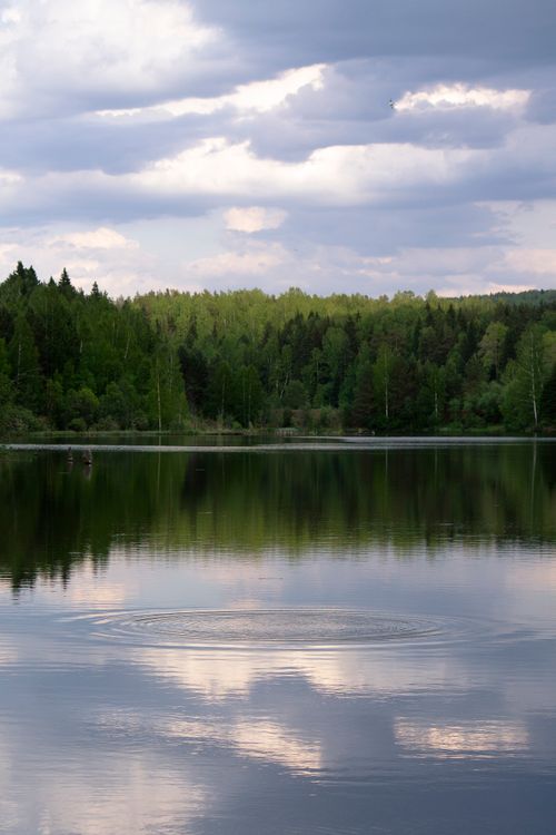 Free Serene lake reflecting lush forest under a cloudy sky, captured at dusk creating a peaceful scene. Stock Photo
