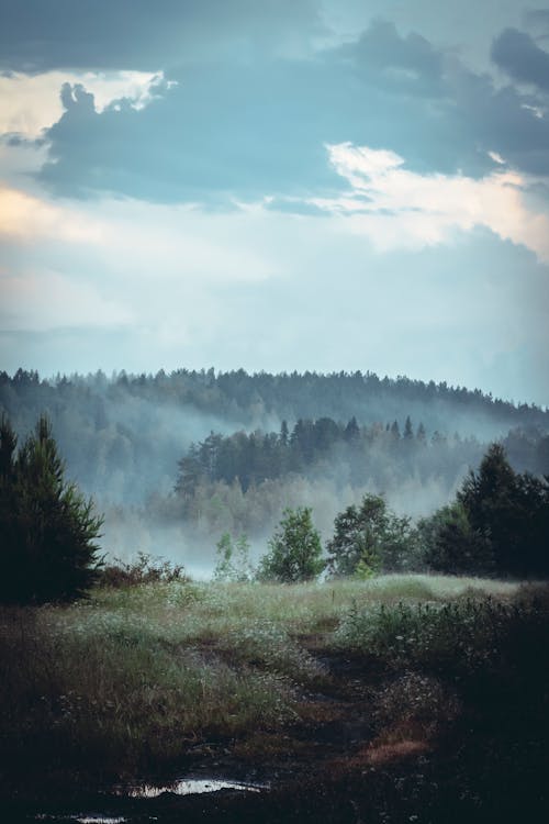 Clouds over a Foggy Forest