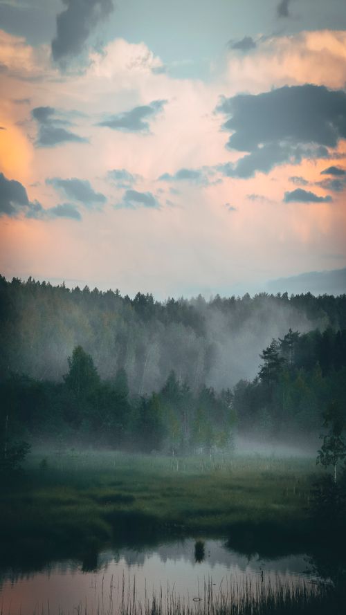 Free Breathtaking view of a misty forest at dawn with a serene river reflecting the sky, perfect for nature lovers. Stock Photo