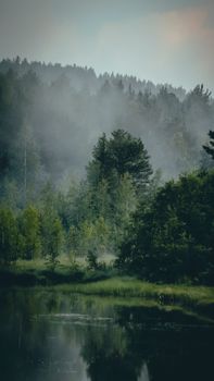 Peaceful forest with misty reflections on a tranquil lake at dawn, capturing serene natural beauty.