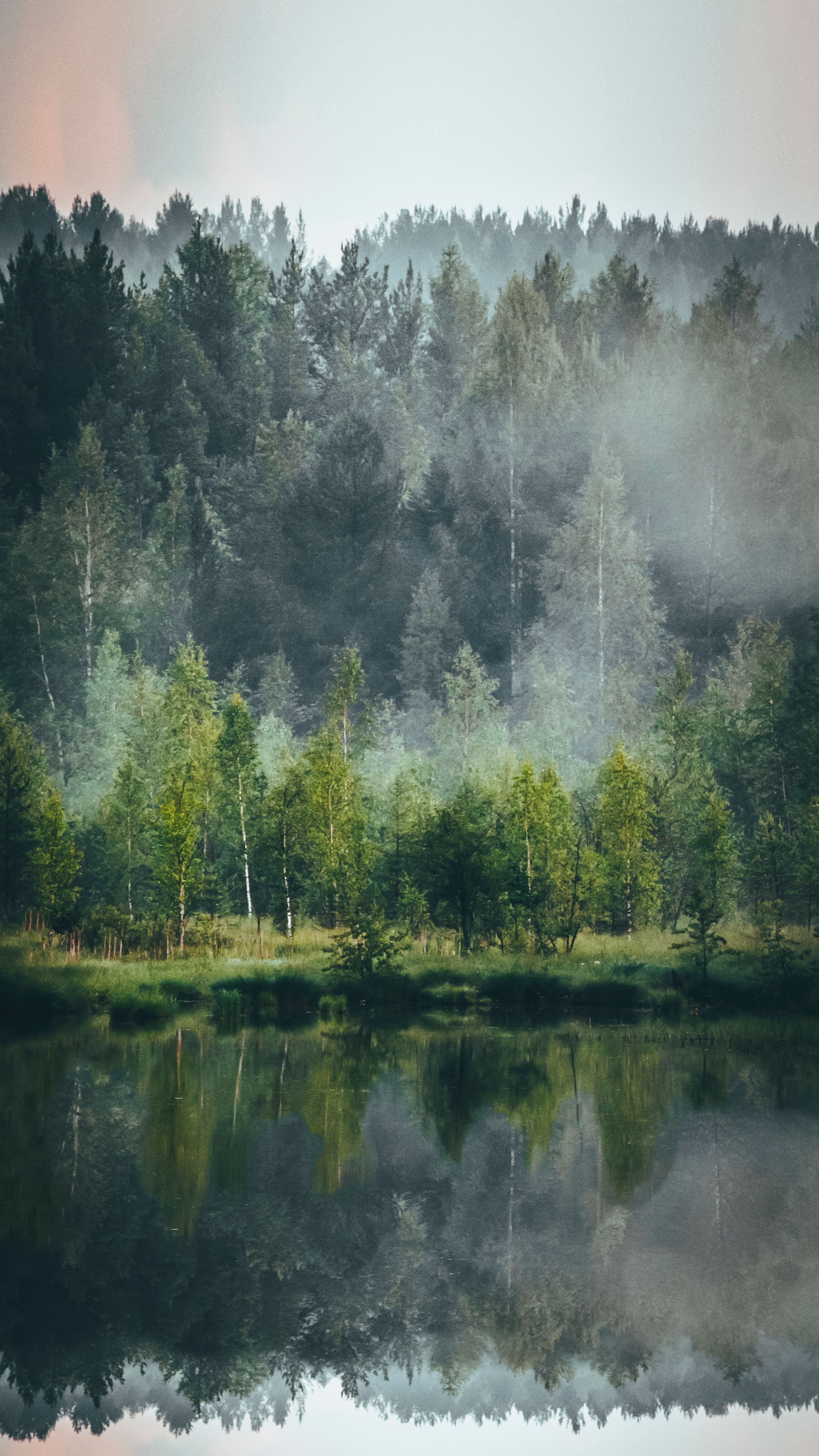 Vertical shot of a misty forest reflected in a tranquil lake, creating a serene and mystical atmosphere.