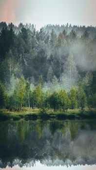 Vertical shot of a misty forest reflected in a tranquil lake, creating a serene and mystical atmosphere.