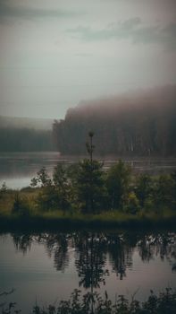 Image by Danila  Popov