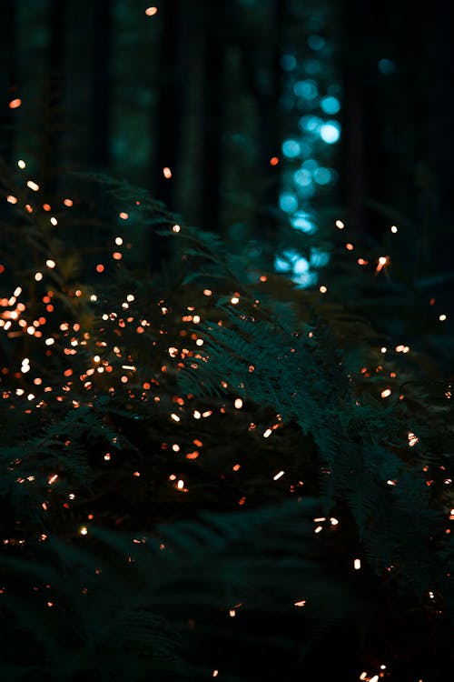 Fire Particles Floating Through the Green Fern Leaves