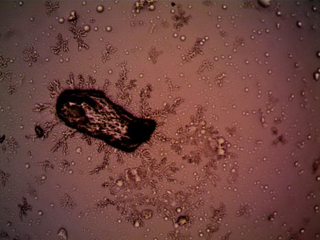 Asteroid Impact Craters May Have Fostered Early Oxygen-Producing Life