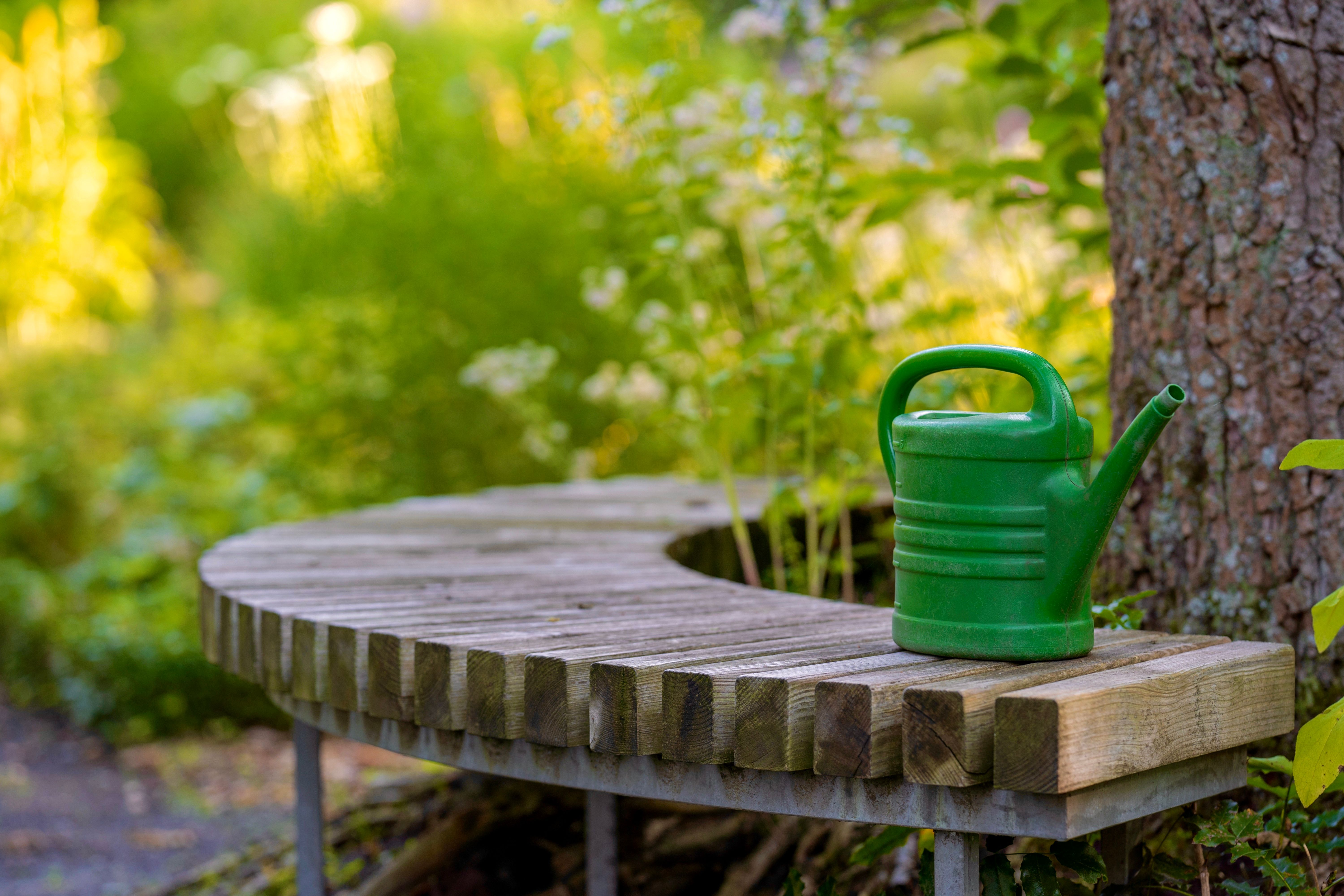 The best gardening tools - In The Garden With Ron Wilson — Photo by Mariya Muschard on Pexels