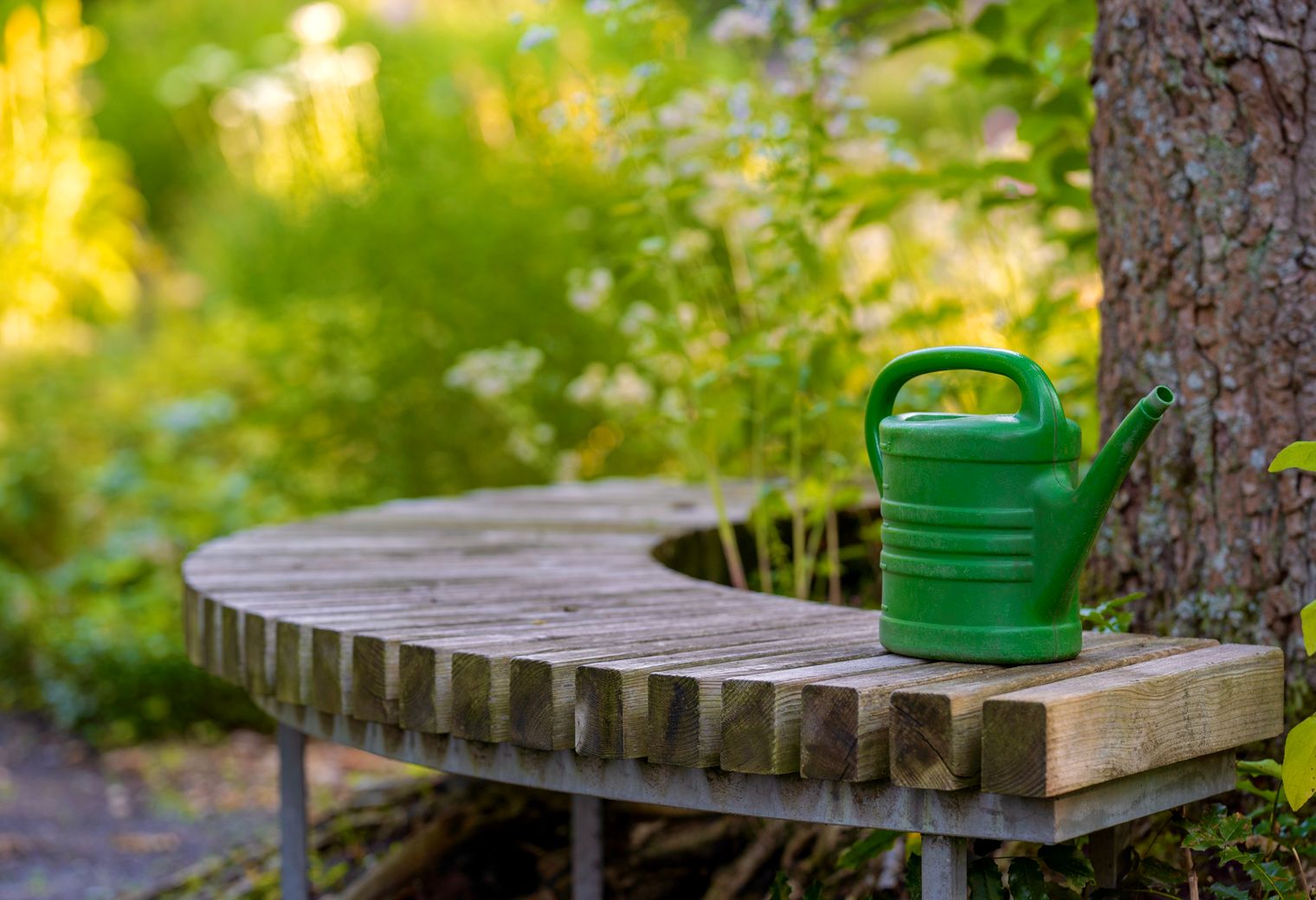 Fence and Decking Painting in Sidcup — woodwork brushed to a crisp, smooth line