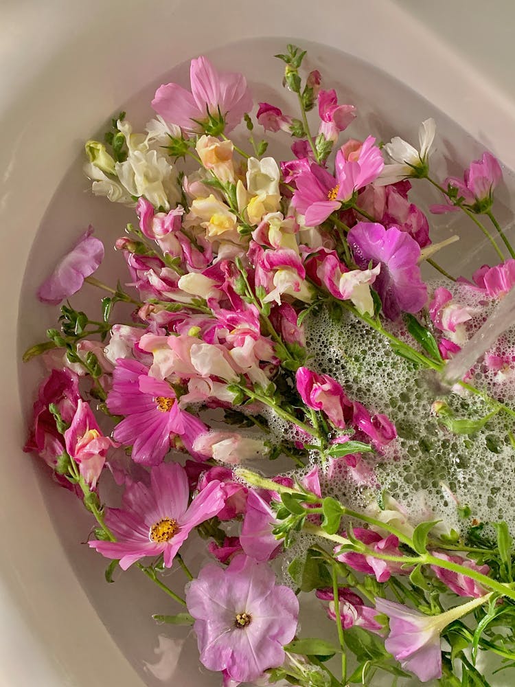 Pink And White Flowers On Sink With Water