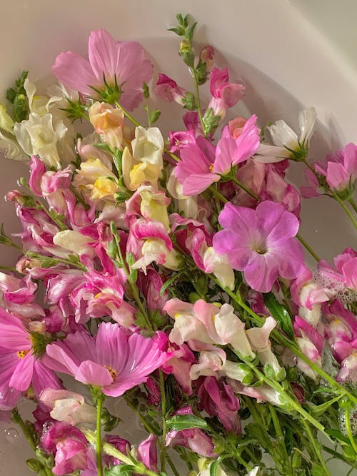 A Bunch of Purple and White Flowers in a Tub with Bubbles and Water