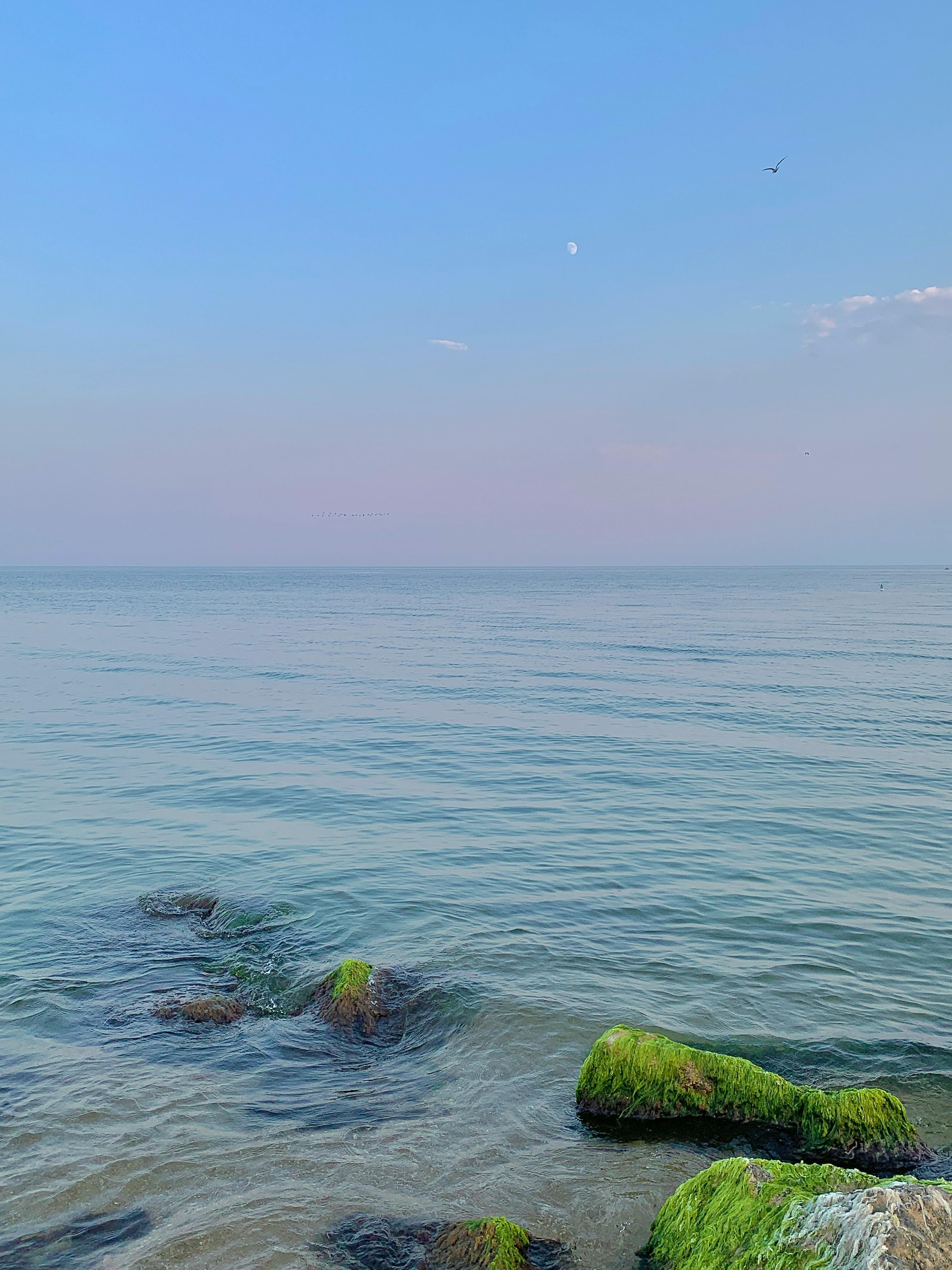 宁静的海滩场景与长满苔藓的岩石和清澈的蓝天营造出宁静的氛围