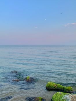 Serene beach scene with mossy rocks and clear blue sky creates a peaceful atmosphere.