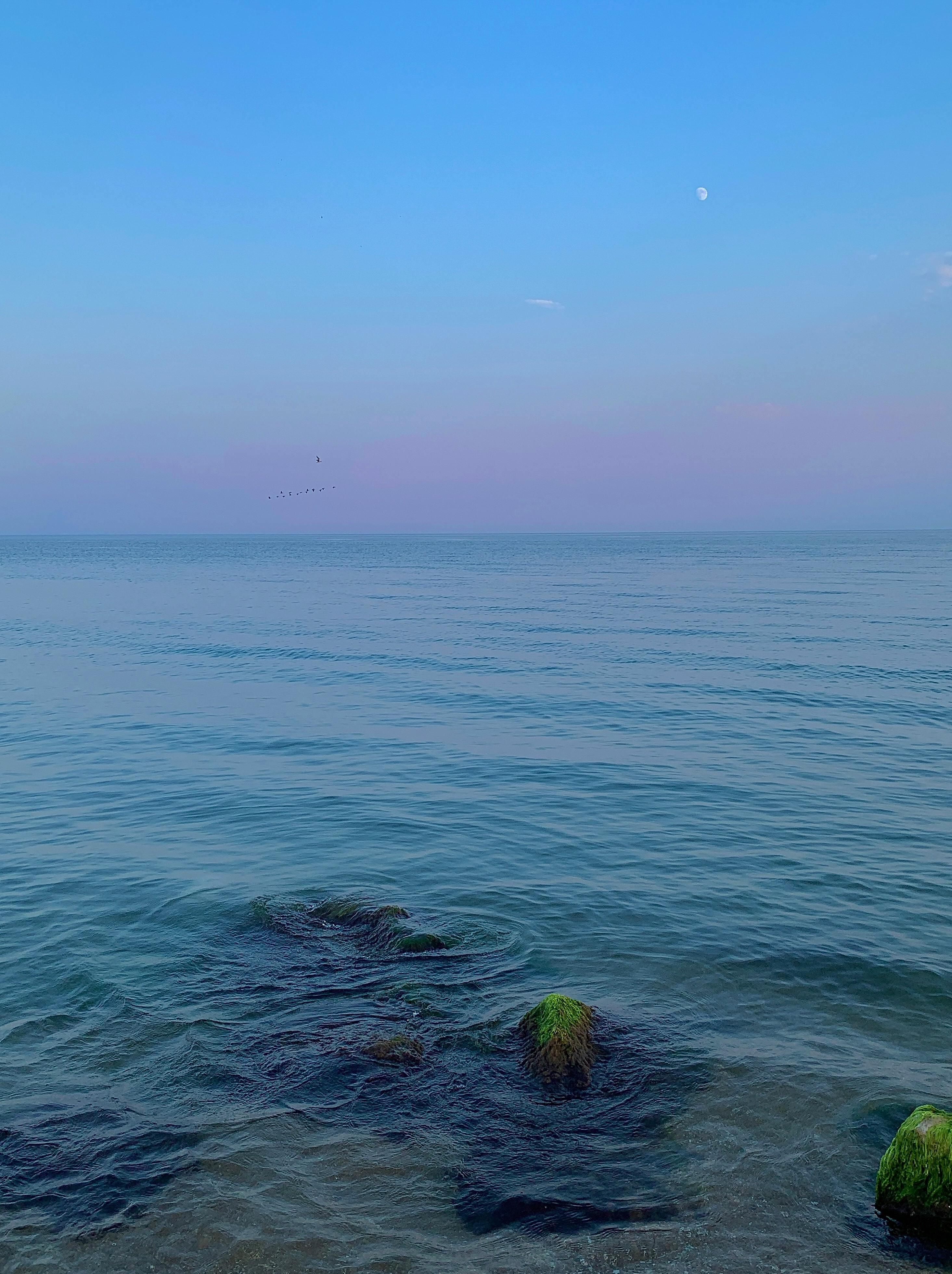 Tranquil sea view at twilight with rocks and calm waves under a moonlit sky.