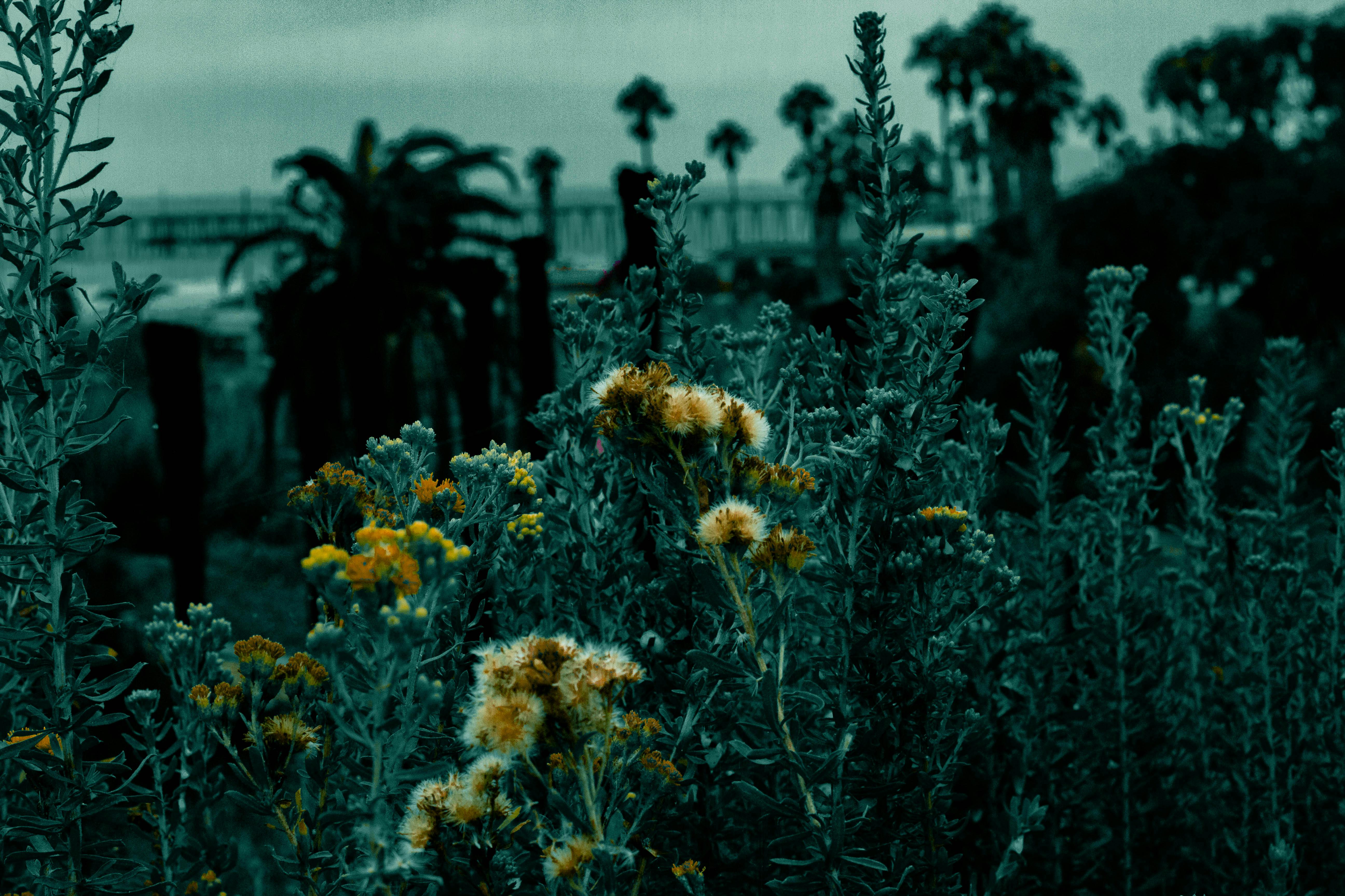 Lockheed Martin F-35 Full Rate Production