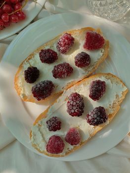 Close-up of raspberry toasts with cream cheese creating a vibrant food scene.