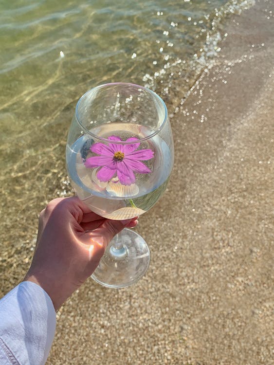 Floating And Self Standing Beach Wine Glass