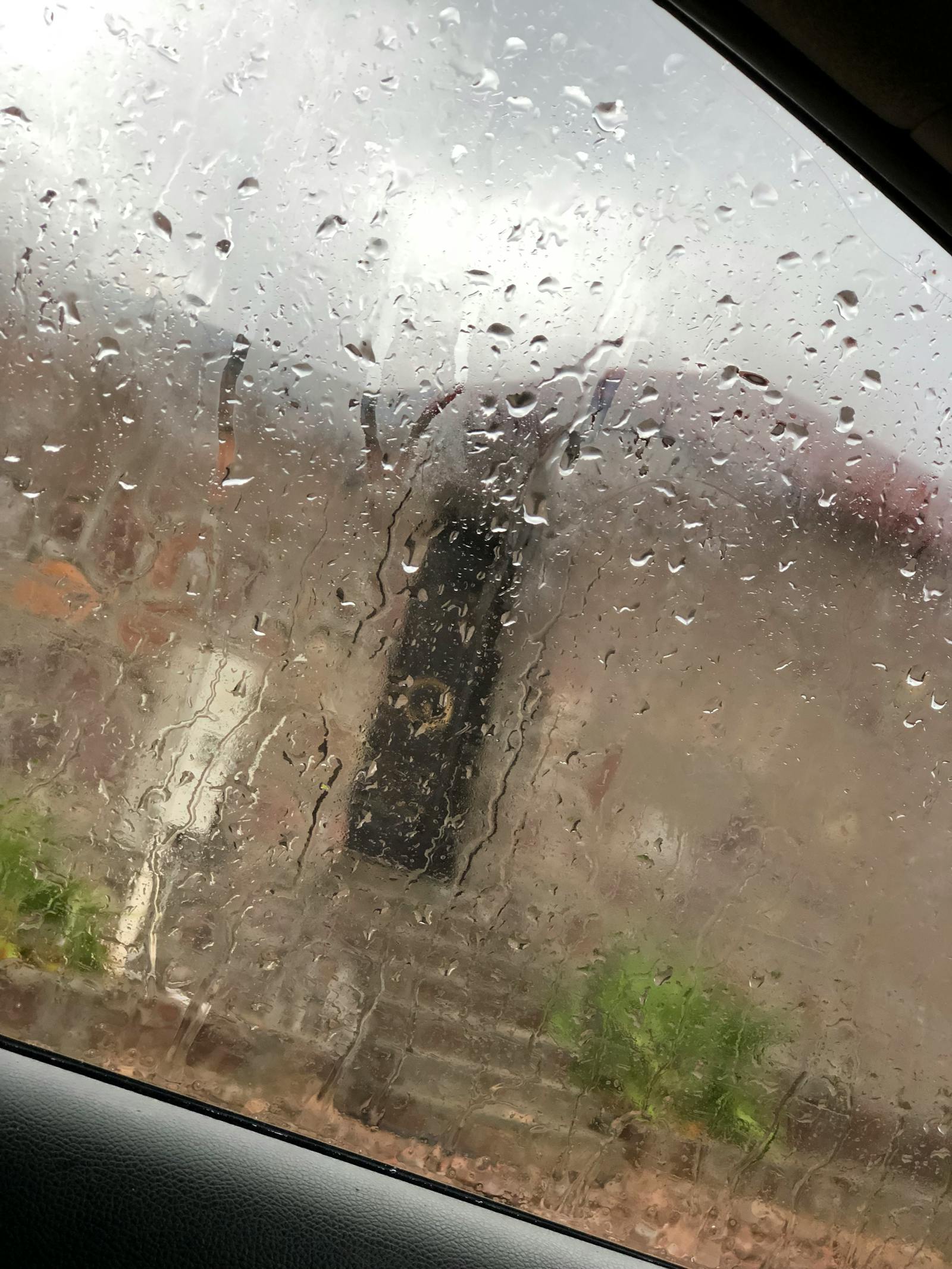 Equestrian Instruction