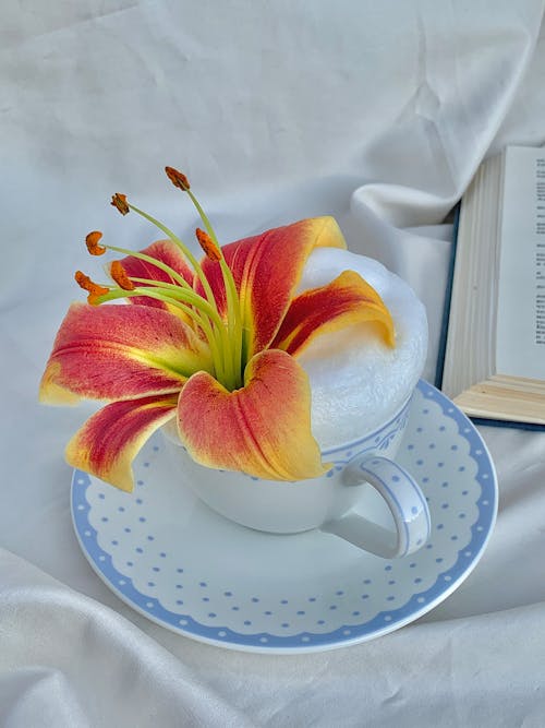 Close-Up Shot of a Cup of Coffee with Orange Lily