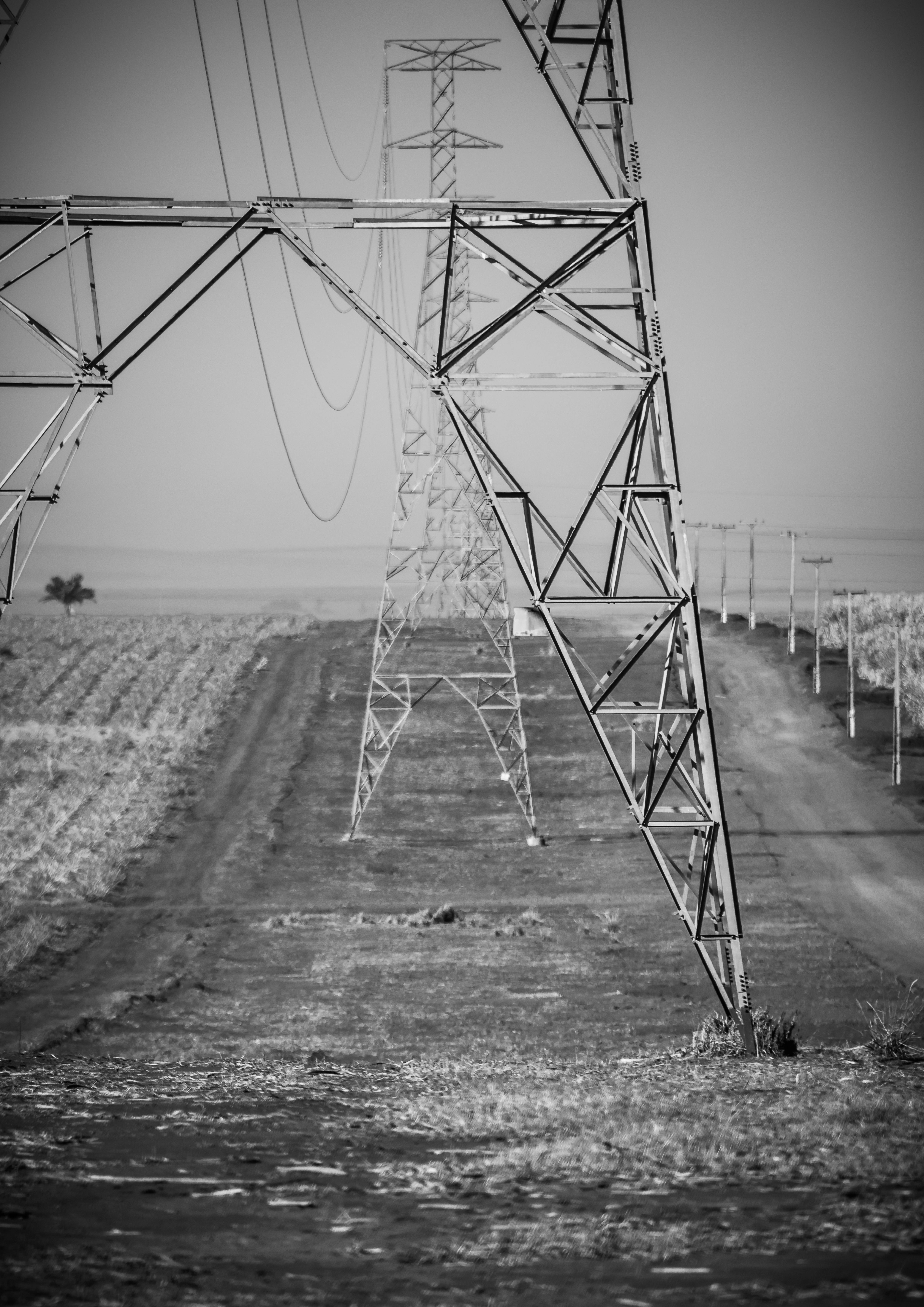 transmission towers in field