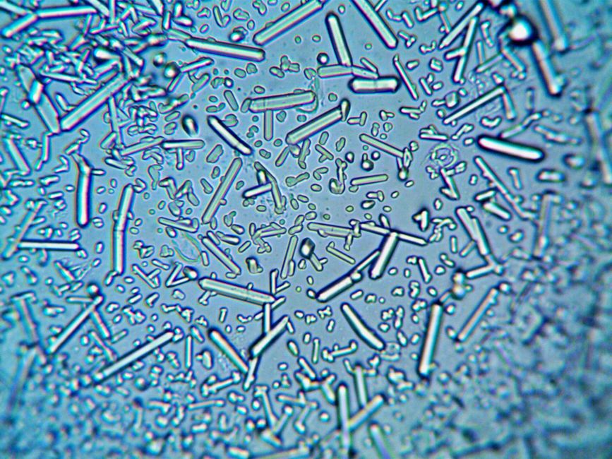 UV Light Accelerates Deep-Sea Plastic Degradation, Releasing Dissolved Carbon