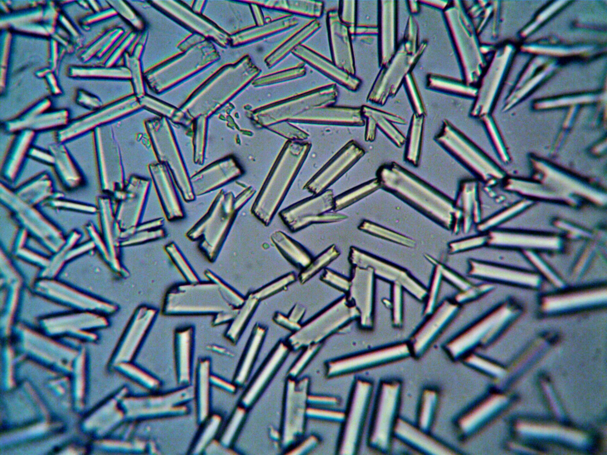 Detailed close-up of crystalline structures under a microscope, showcasing scientific detail.