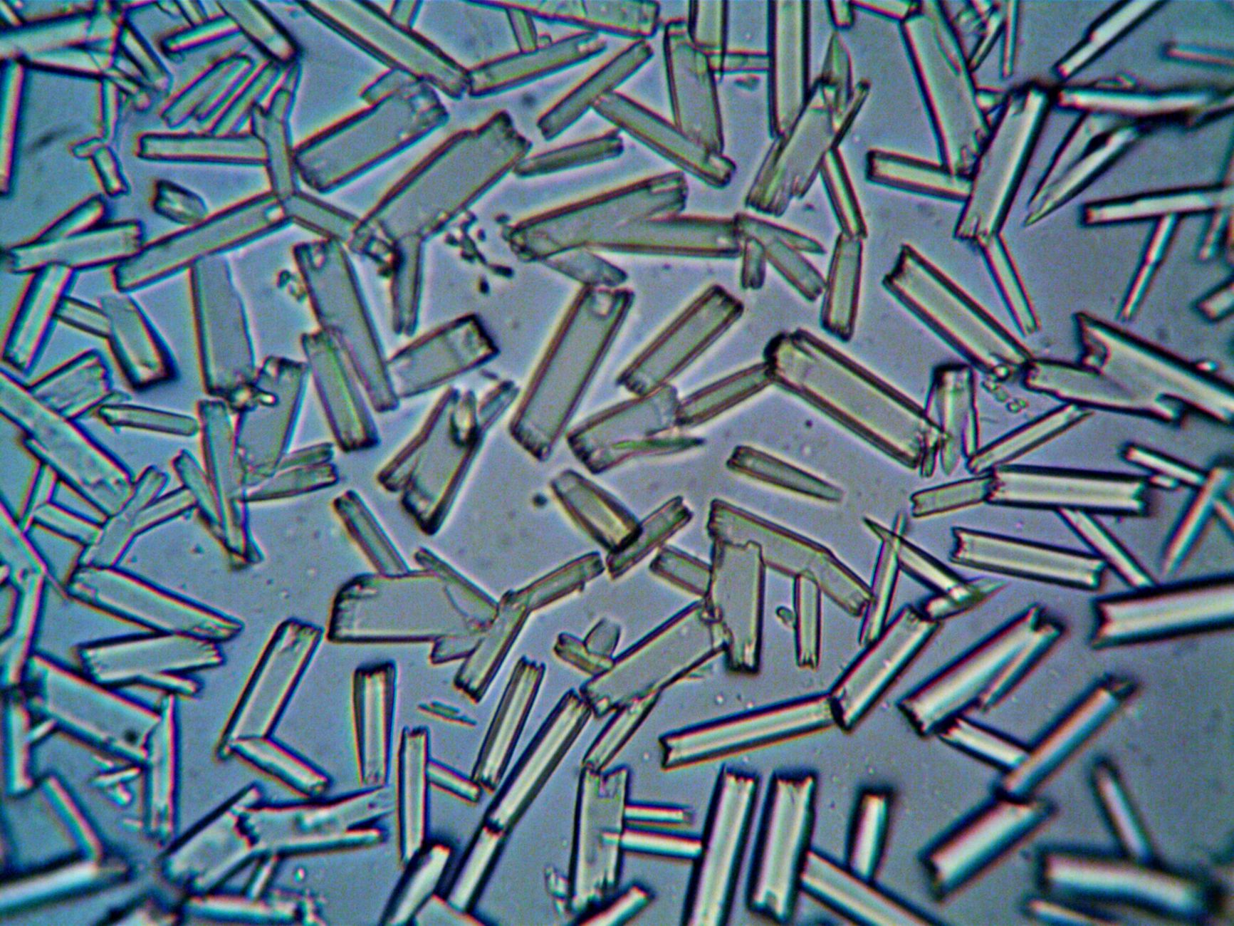 Close-up view of crystalline structures under a microscope, showcasing intricate details.