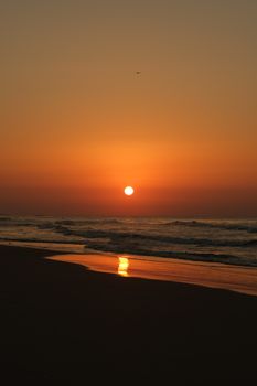 Dramatic beach sunset capturing waves and vibrant colors over the ocean, perfect for serene aesthetics.