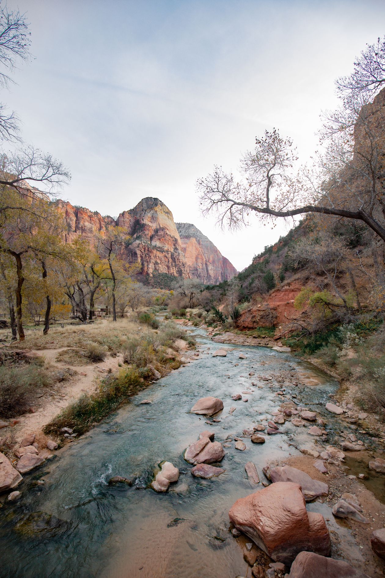 Scenic view of the Virgin River flowing through Zion National Park canyon