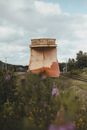 Brown Concrete Pot on Purple Flower Field