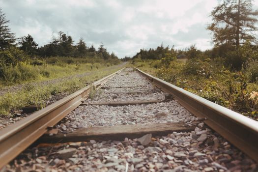 A serene view of weathered railway tracks stretching through verdant greenery under a cloudy sky.