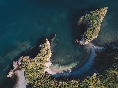 Δωρεάν στοκ φωτογραφιών με αεροφωτογράφιση, ακτή, δασικός