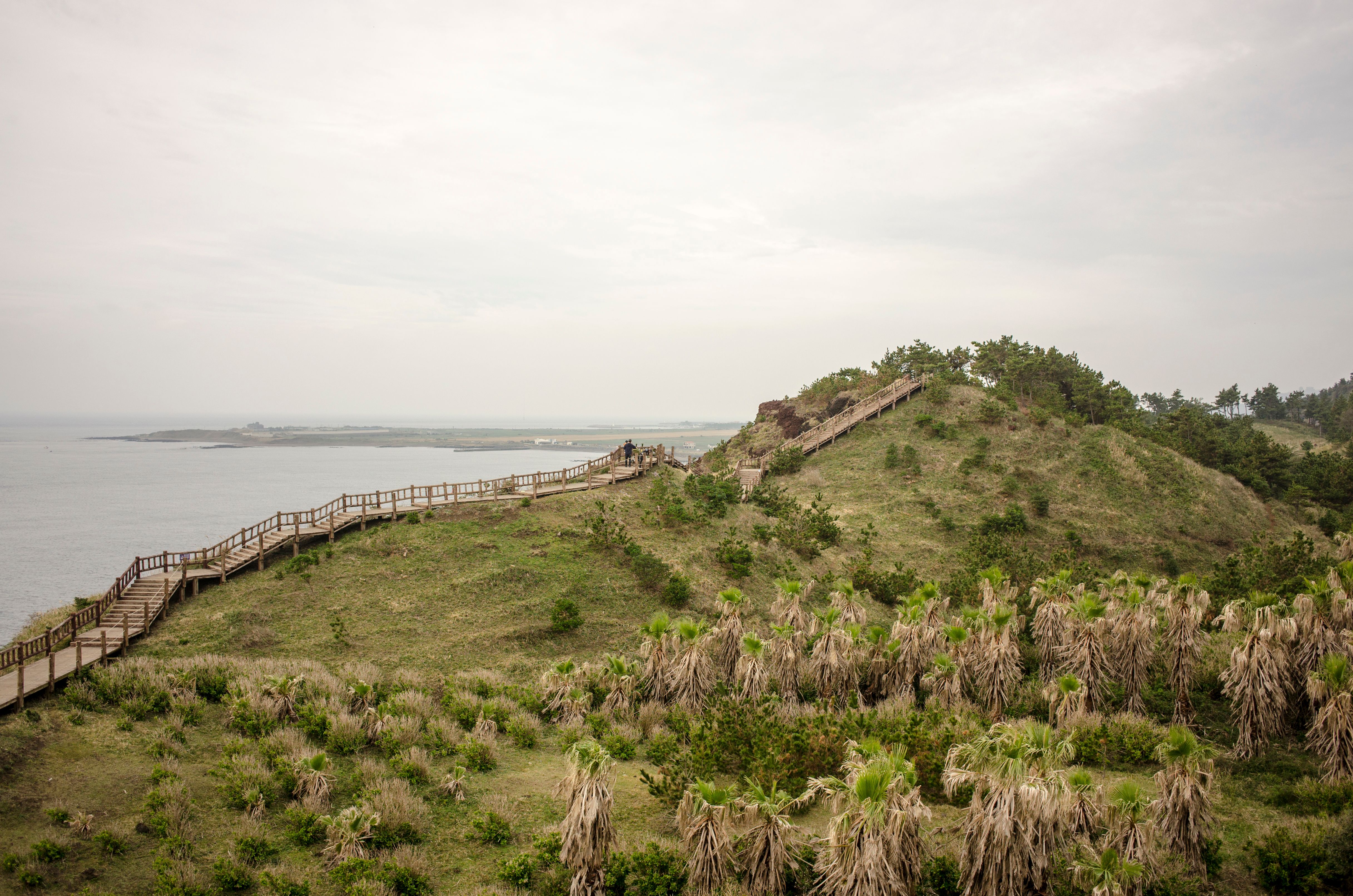 First Time in Jeju? Everything You Need to Know