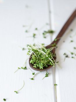 Cress