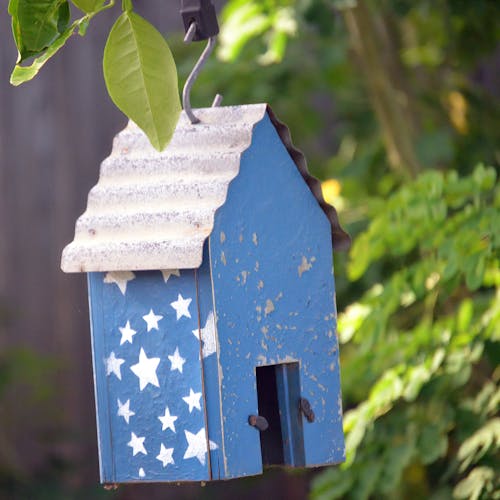 Free stock photo of aviary, birdhouse, blue house
