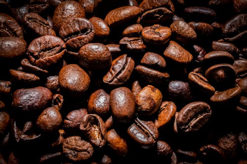 Brown Roasted Coffee Beans in Close-Up Photography