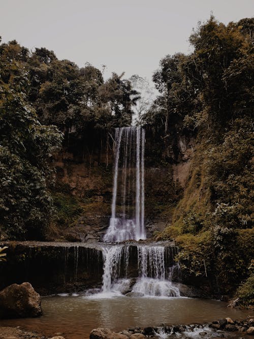 Cascading Waterfalls in the Middle of Green Trees