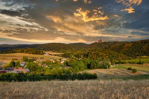 Green Trees Under the Orange Sky