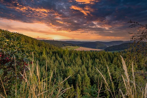 Free stock photo of czech, czech republic, czechia