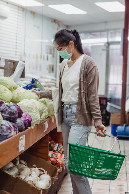 supplier sayur dan buah supplier sayur dan buah
