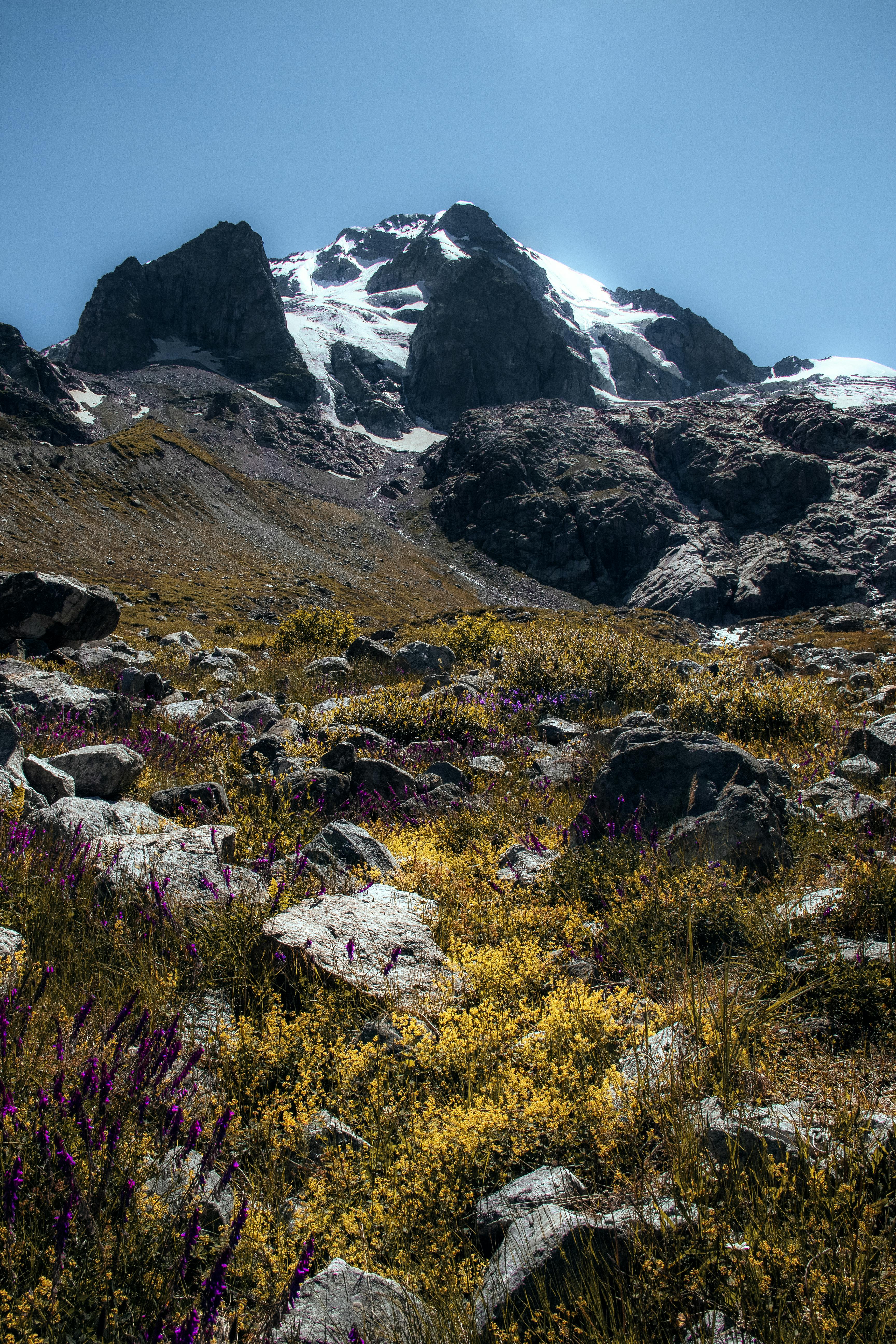 Prescription Goggle Inserts - A stunning vertical shot of a snowcapped rocky mountain with wildflowers under a clear blue sky.